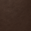 everest choc brown